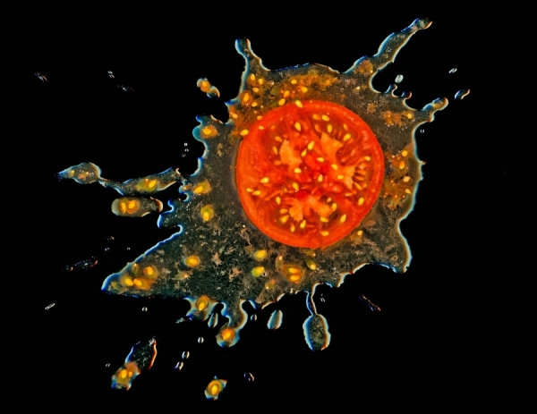 Photograph Andy Goodwin Splat on One Eyeland